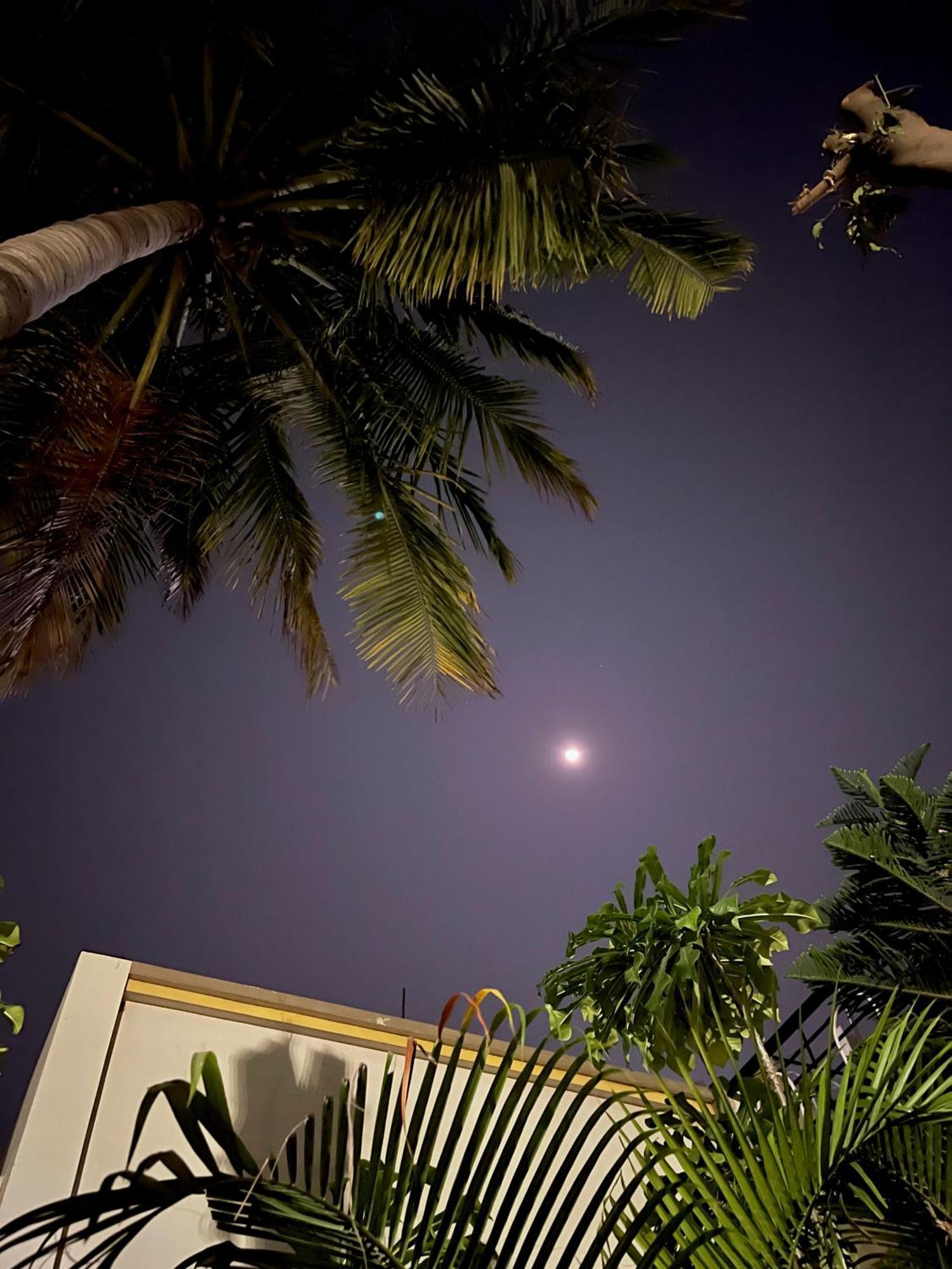 Tekri Farms And Retreat Hotel Ujjain Bagian luar foto